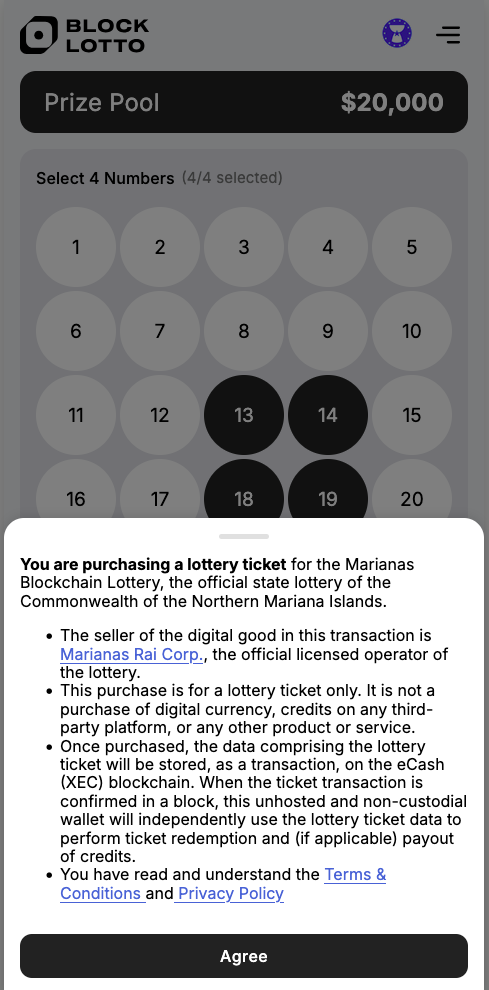 Terms of Service Example